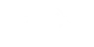 Drone Show Guys logo